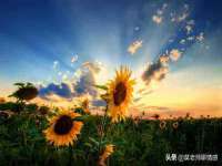 太湖鸿博家电维修有限公司
