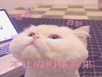 太湖鸿博家电维修有限公司