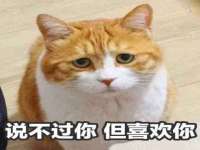 太湖鸿博家电维修有限公司