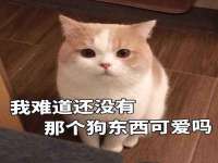 太湖鸿博家电维修有限公司