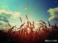 太湖鸿博家电维修有限公司