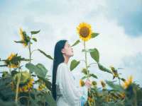 太湖鸿博家电维修有限公司