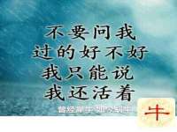 太湖鸿博家电维修有限公司