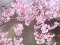 太湖鸿博家电维修有限公司