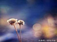 太湖鸿博家电维修有限公司