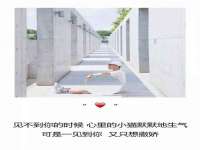 太湖鸿博家电维修有限公司