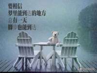 太湖鸿博家电维修有限公司