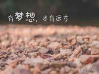 太湖鸿博家电维修有限公司