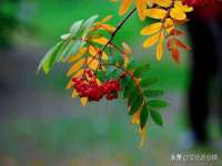 太湖鸿博家电维修有限公司