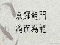 太湖鸿博家电维修有限公司