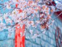 太湖鸿博家电维修有限公司
