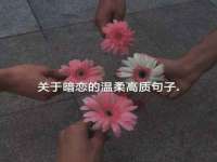 太湖鸿博家电维修有限公司