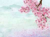太湖鸿博家电维修有限公司