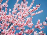 太湖鸿博家电维修有限公司