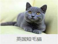太湖鸿博家电维修有限公司