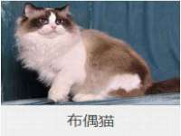太湖鸿博家电维修有限公司