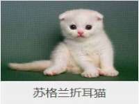 太湖鸿博家电维修有限公司