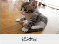 太湖鸿博家电维修有限公司