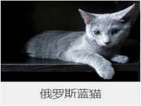 太湖鸿博家电维修有限公司