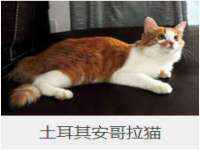 太湖鸿博家电维修有限公司