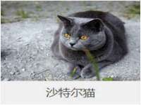 太湖鸿博家电维修有限公司