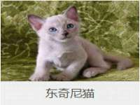 太湖鸿博家电维修有限公司