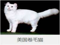 太湖鸿博家电维修有限公司
