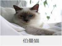 太湖鸿博家电维修有限公司