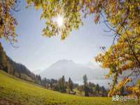 太湖鸿博家电维修有限公司