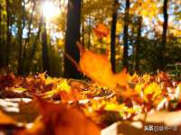 太湖鸿博家电维修有限公司