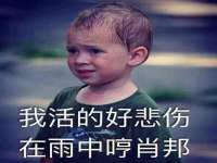 太湖鸿博家电维修有限公司