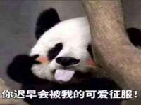 太湖鸿博家电维修有限公司