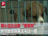 太湖鸿博家电维修有限公司