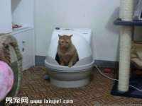 太湖鸿博家电维修有限公司