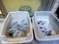 太湖鸿博家电维修有限公司