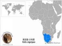 太湖鸿博家电维修有限公司