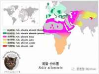 太湖鸿博家电维修有限公司