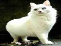 太湖鸿博家电维修有限公司