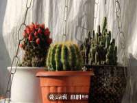 太湖鸿博家电维修有限公司