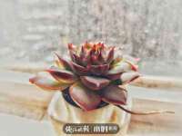 太湖鸿博家电维修有限公司