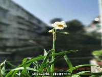 太湖鸿博家电维修有限公司
