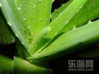 太湖鸿博家电维修有限公司