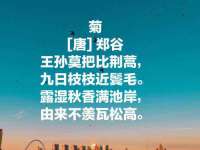 太湖鸿博家电维修有限公司