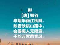 太湖鸿博家电维修有限公司
