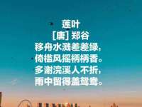 太湖鸿博家电维修有限公司