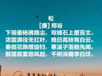 太湖鸿博家电维修有限公司