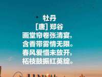 太湖鸿博家电维修有限公司