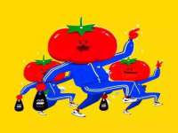 太湖鸿博家电维修有限公司