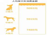 太湖鸿博家电维修有限公司