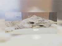 太湖鸿博家电维修有限公司
